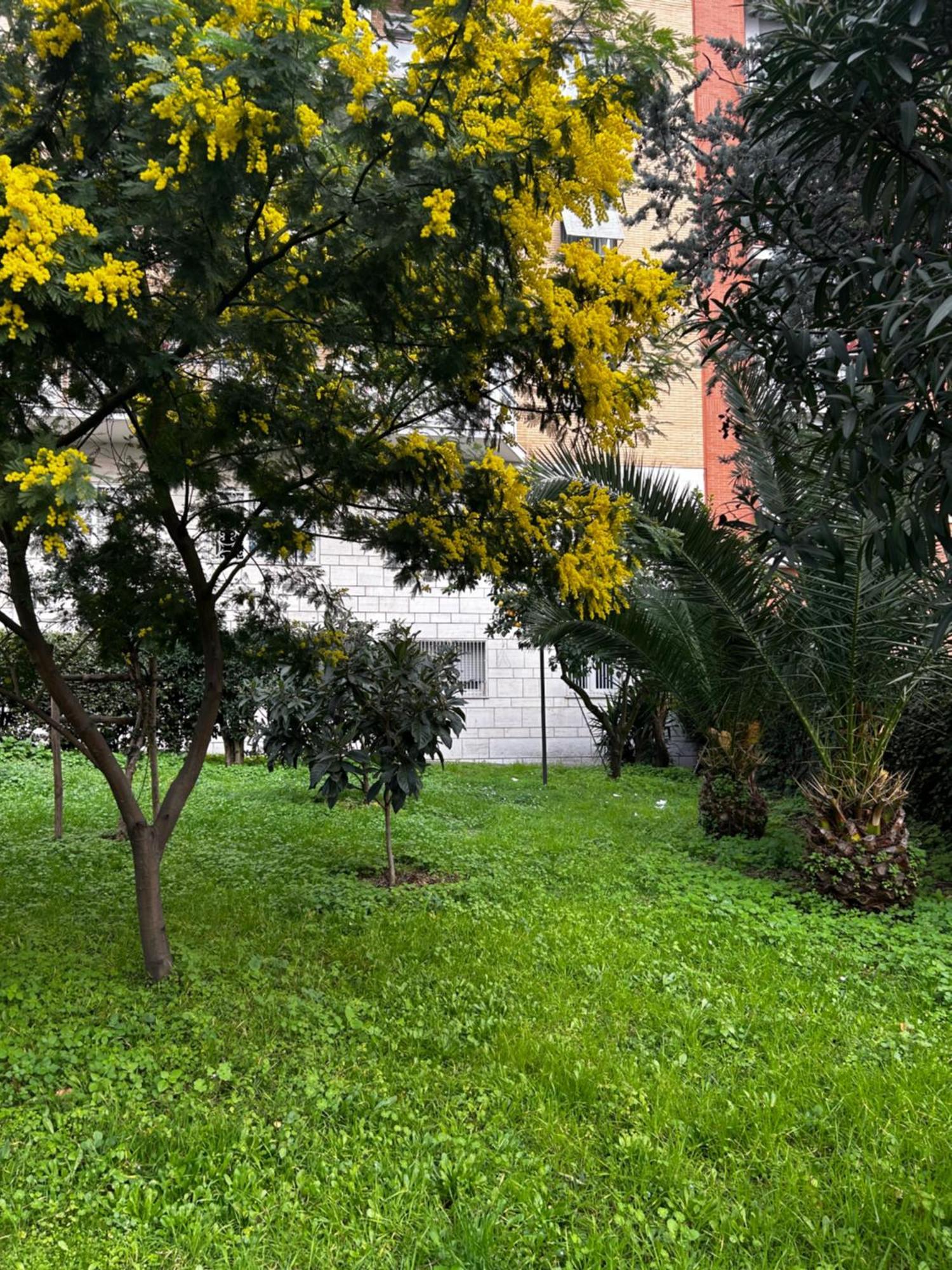 Bam Bam Tiburtina Guesthouse Rom Exterior foto